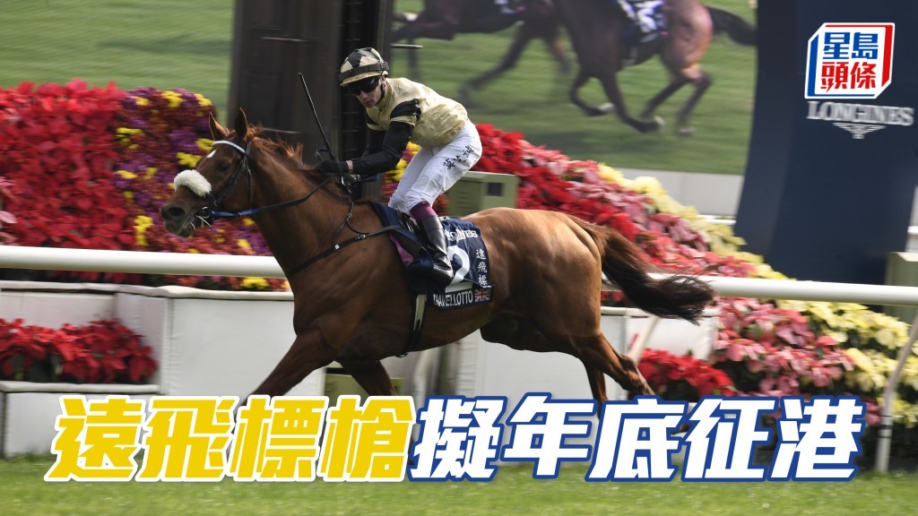 馬場浮世繪｜「遠飛標槍」擬年底征港