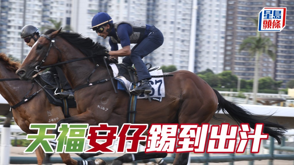  田泰安替「天福」出試之後，立即走上烽火台二樓搵賀賢傾談。