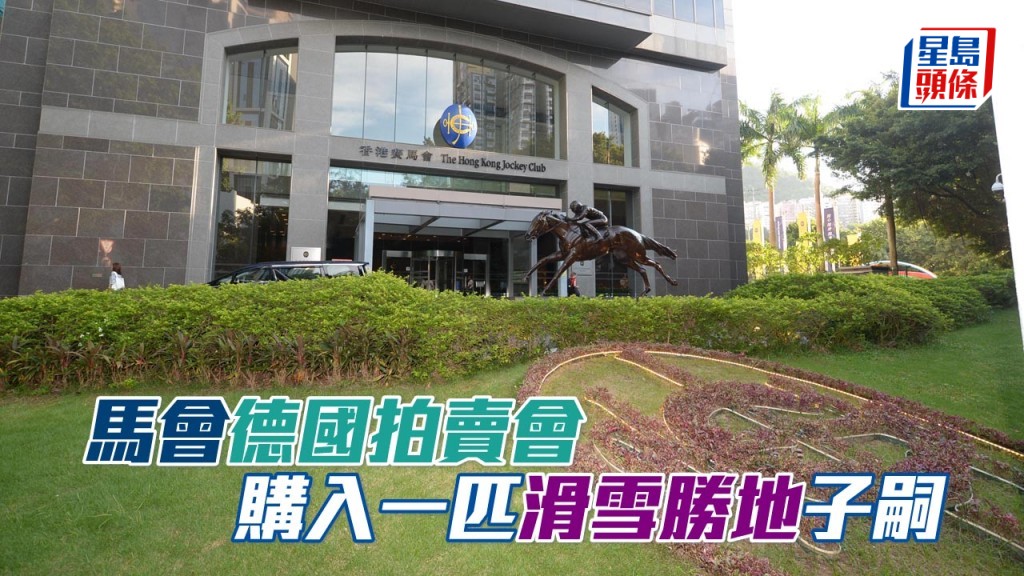 馬會在BBAG周歲馬拍賣會,購入一匹「滑雪勝地」子嗣。