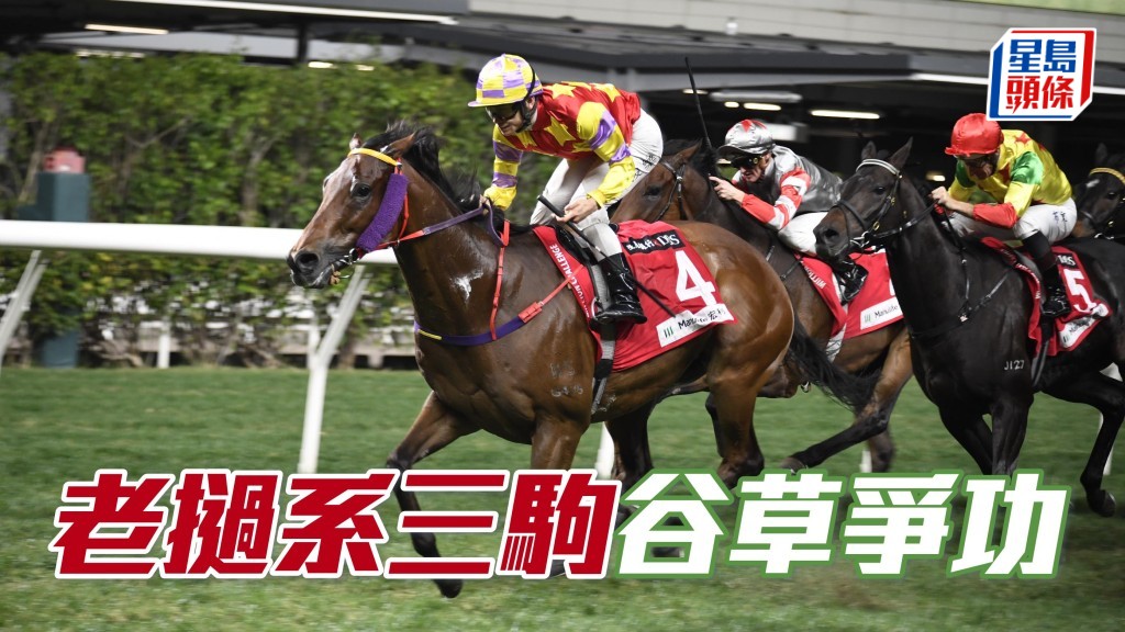 「歡樂老撾」、「快樂老撾」和「浪漫老撾」(圖) 分別列陣二、四及八場，且看「老撾」系馬周三晚能否建功。