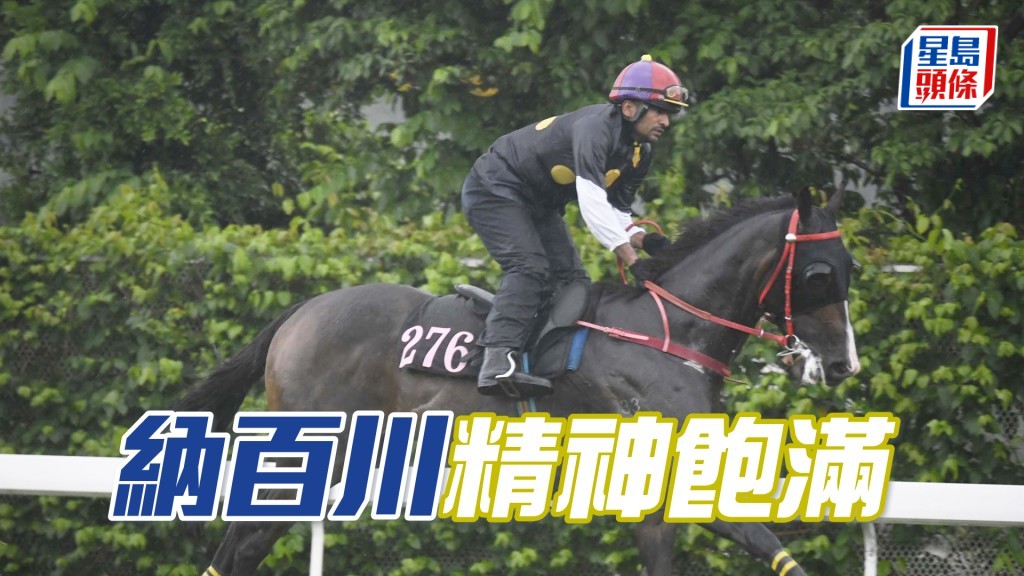 「纳百川」论态尚算不俗，出脚顺滑俐落。