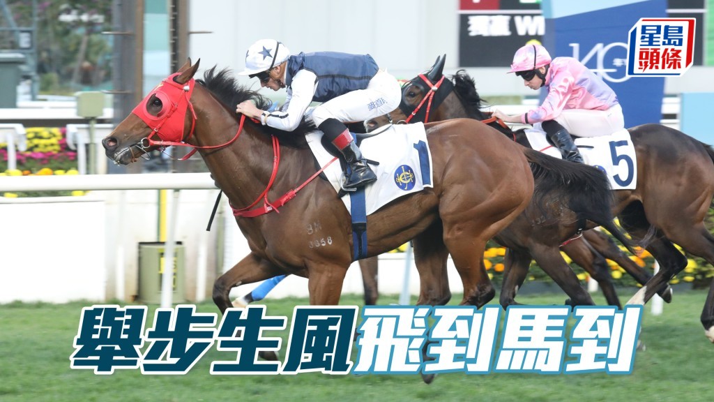 「舉步生風」飛到馬到