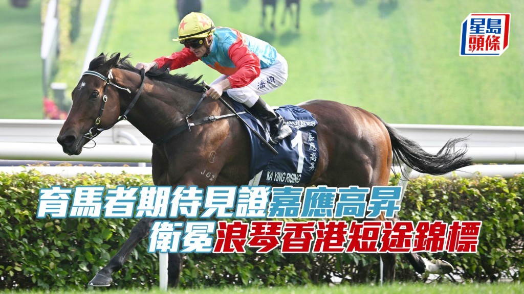 「嘉應高昇」將於周日（12月14日）力爭衛冕浪琴香港短途錦標。