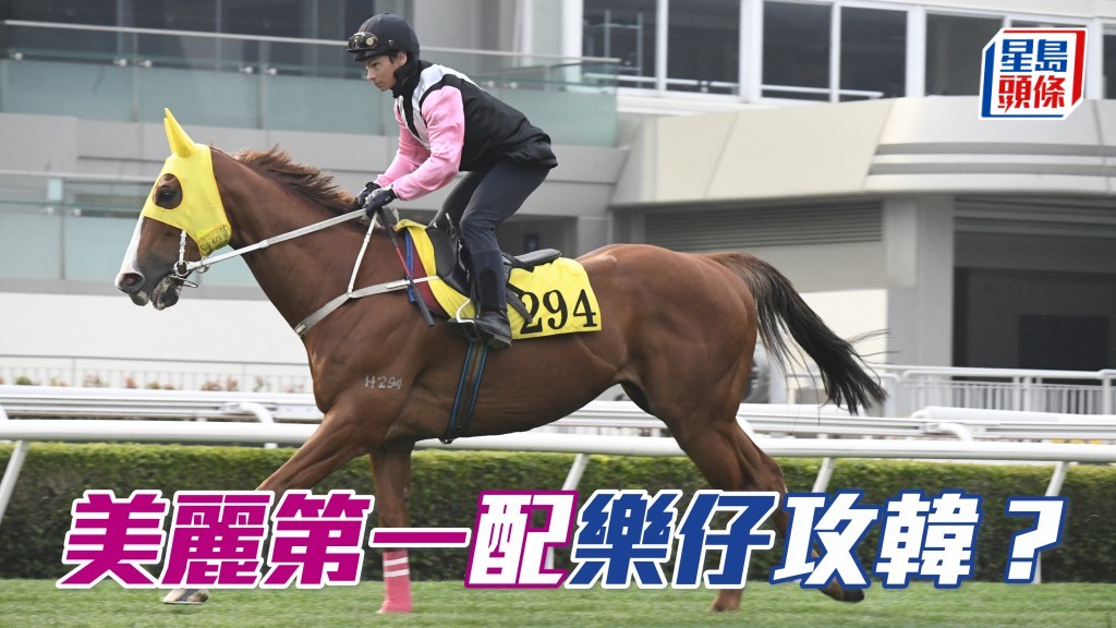  馬場浮世繪｜「美麗第一」擬配周俊樂爭韓國短途錦標