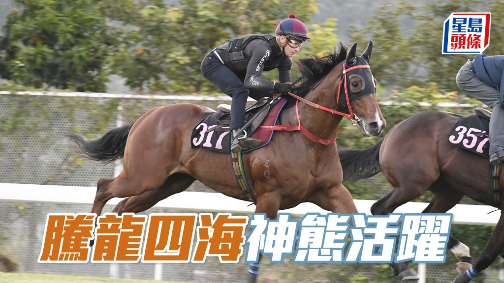 「騰龍四海」出腳步大有勁,佳態保持。