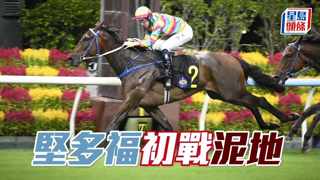 「堅多福」今季首戰即於谷草開齋。