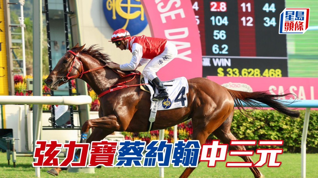 「弦力寶」蔡約翰中三元