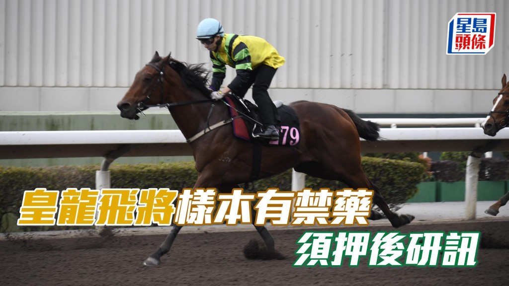 「皇龍飛將」的練馬師姚本輝已獲告知有關檢驗結果。此宗事件現押後至另訂日期進行研訊,以便對其進行進一步調查。