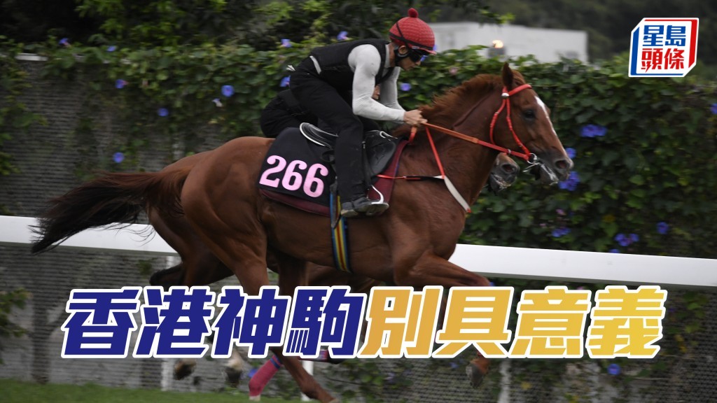 百捷馬主余潤興家族名下的「香港神駒」將在港初出，這匹馬名是余伯第三次舊馬重用。