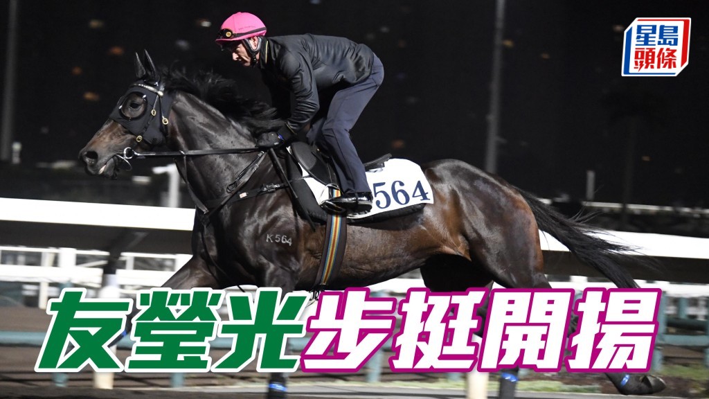 内圈捕影│ 「友莹光」步挺开扬