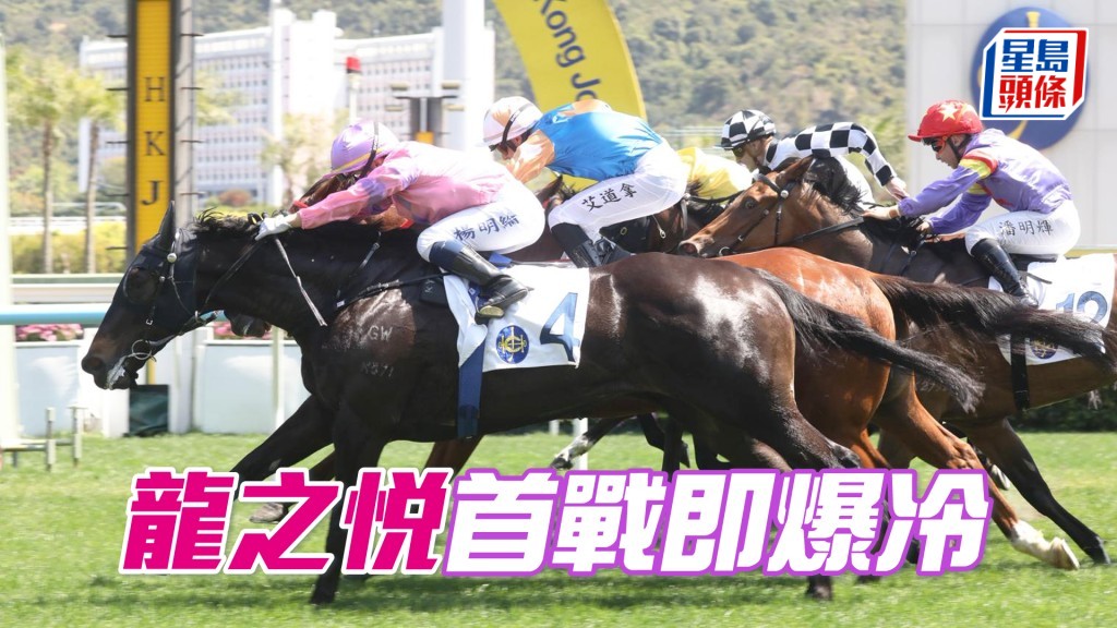 「龍之悦」首戰即爆冷