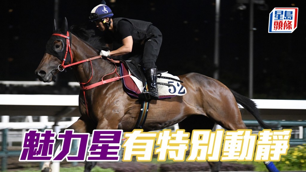 蔡約翰金晴火眼睇實「魅力星」(圖)，睇馬之後更立即同副練傾談。