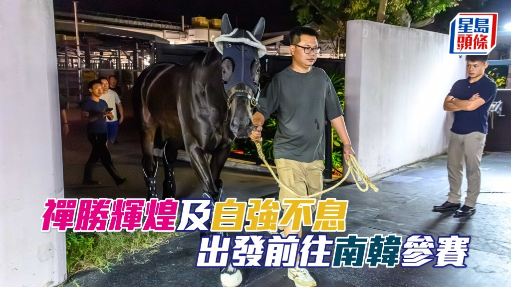 「禪勝輝煌」將角逐三級賽韓國盃(1800米 – 沙地)。