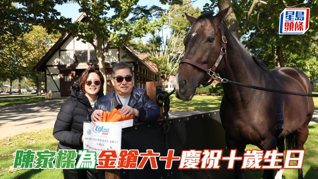 今天(10月14日)是三屆香港馬王「金鎗六十」十歲生日,馬主陳家樑和其太太,前往日本北方牧場為愛駒慶祝生日。