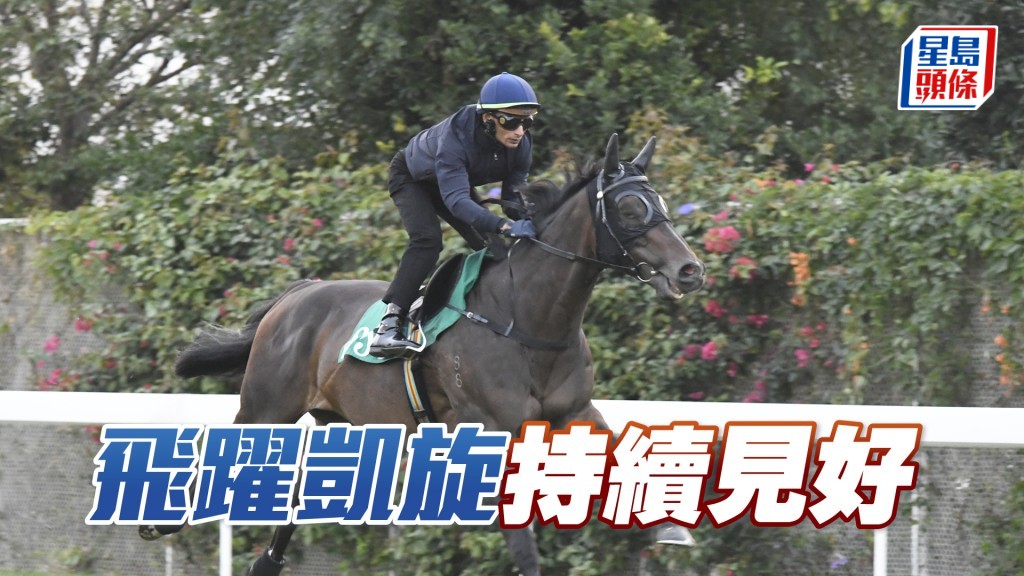 「飞跃凯旋」步伐稳健力度充沛，马身依旧咁靓。