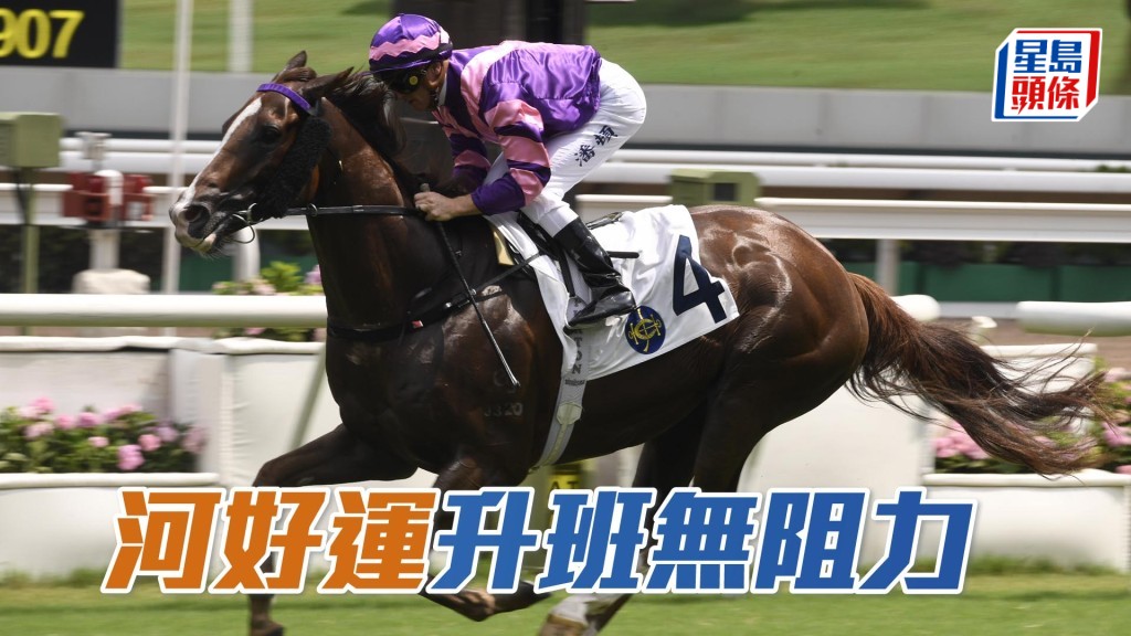 「河好运」配潘顿在同程轻胜，今仗升班作赛不见得有阻力。
