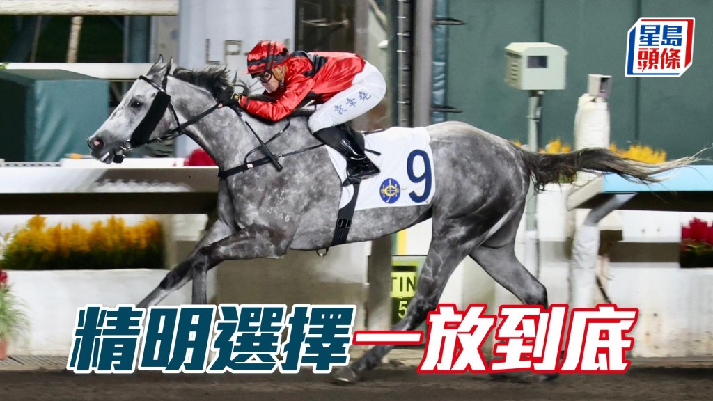 「精明選擇」一放到底