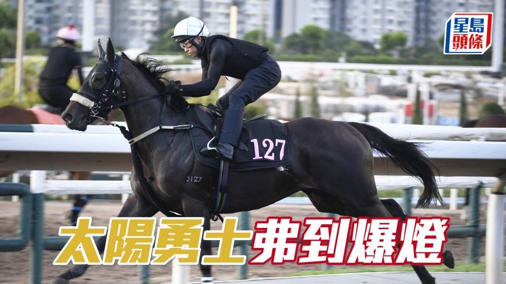 「太陽勇士」谷起雞公頸而馳，火氣甚盛。