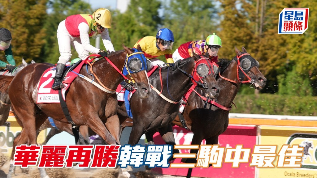 日本佳駟揚威韓國短途錦標　「華麗再勝」屬香港三駒中表現最佳