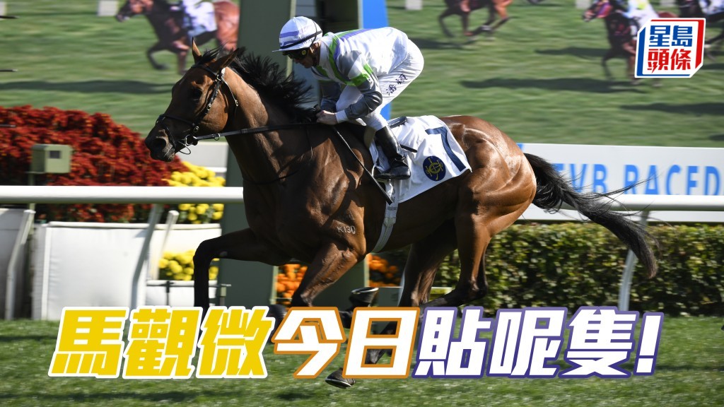「光年魅力」大展拳腳