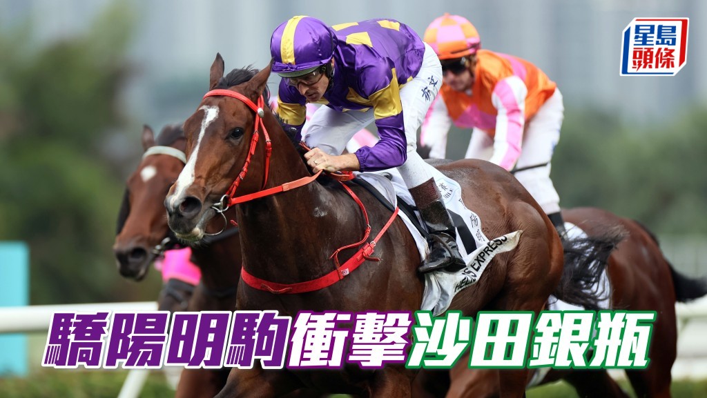 練馬師蔡約翰希望「驕陽明駒」(圖) ,揚威五月尾舉行的沙田銀瓶。