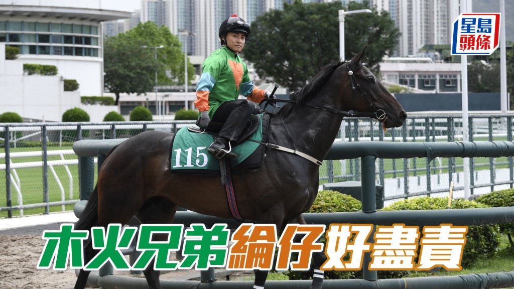 「木火兄弟」最近試閘交出極佳走勢，今戰要加倍留意。