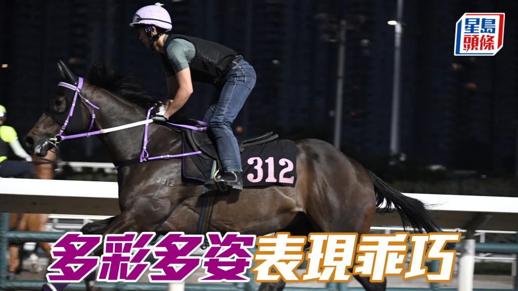 「多彩多姿」表現乖巧