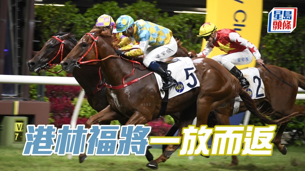 「港林福將」今場快馬無多,應可輕鬆前置,有力一放而返。