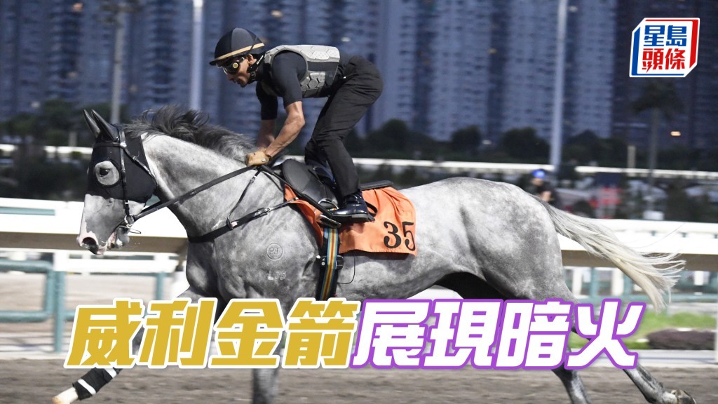 「威利金箭」直路快開步爽力勁，馬身亦收靚好實淨。
