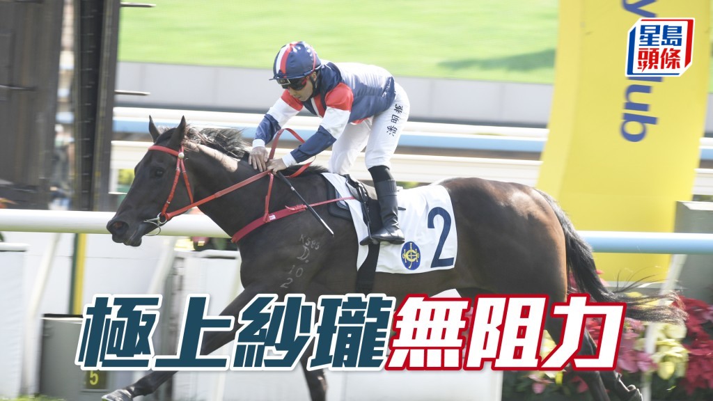 「極上紗瓏」上仗贏馬，蹄下敗將大多贏馬，相信升班也無阻力。