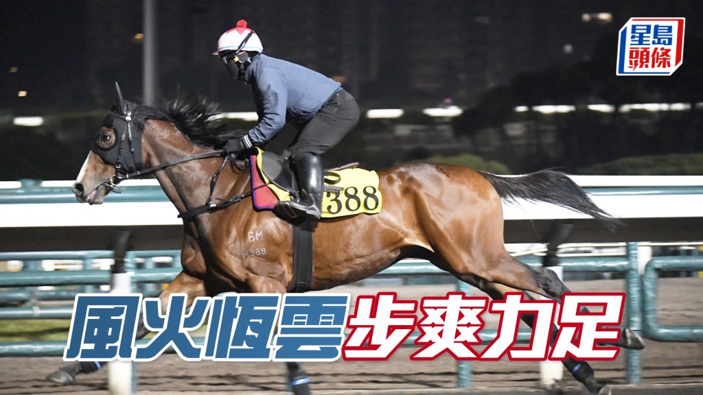 「風火恆雲」神態活躍展現朝氣。