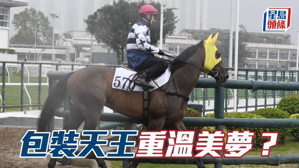 「包装天王」(图) 会可成为「包装明将」的翻版，在港初出即有好表现，重温美梦呢？