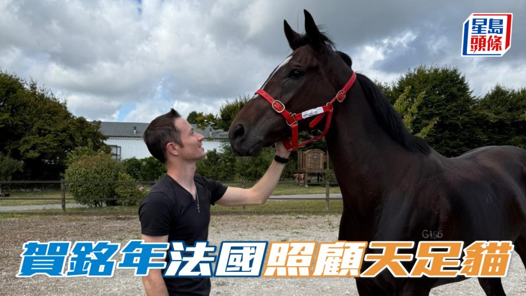 賀銘年法國照顧「天足貓」
