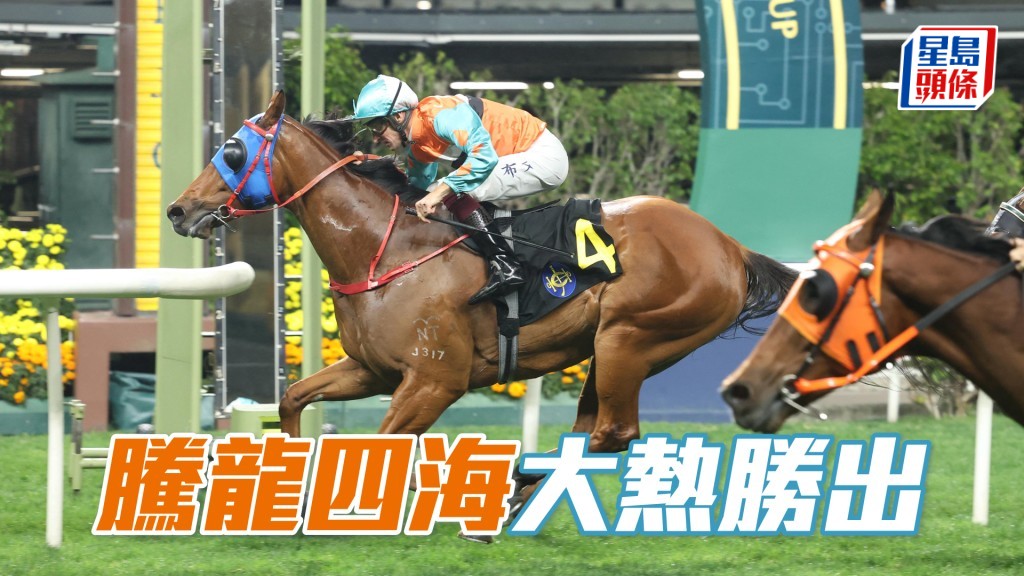 「騰龍四海」大熱勝出