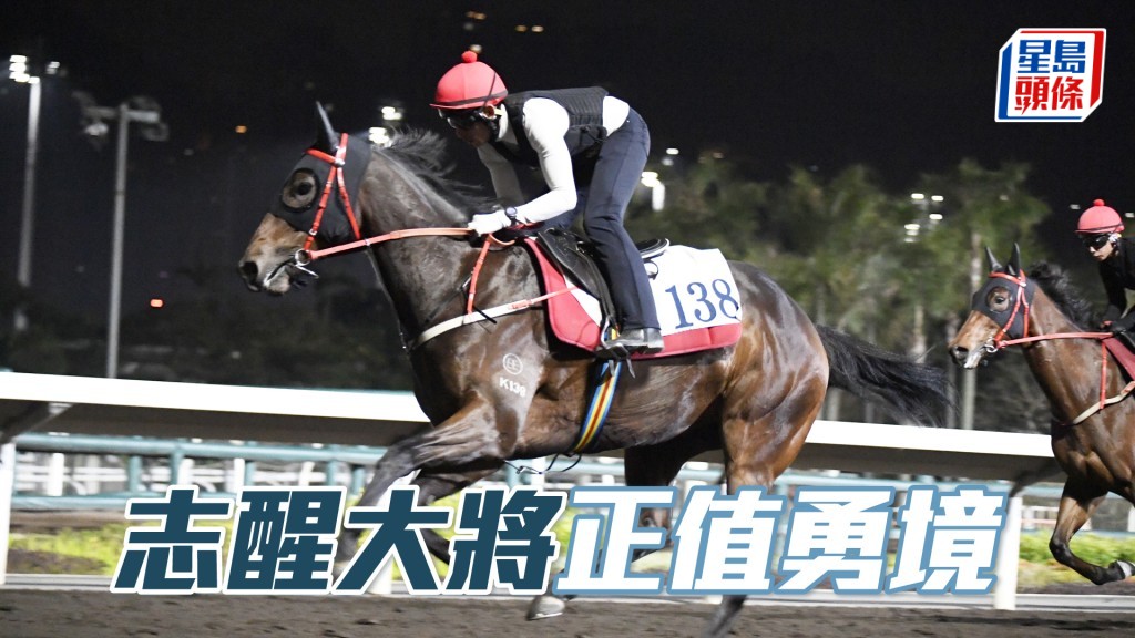 「志醒大將」出腳輕快亦有彈力，神態集中力度唔錯。