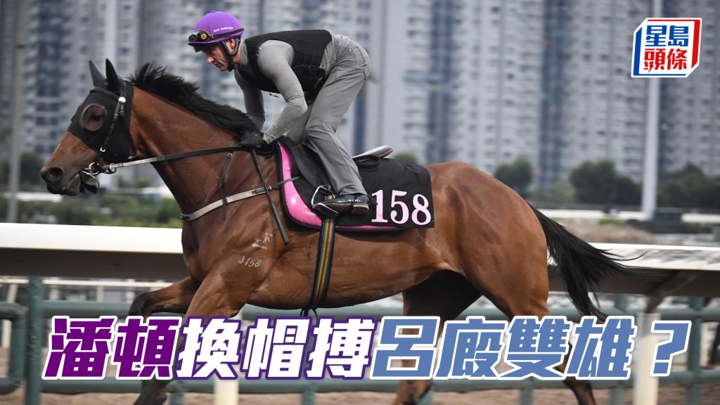今朝潘頓換了一頂紫色帽笠操馬,甫出現即順序為呂廄雙雄「安康萬里」(圖) 及「天下寵兒」出跳。