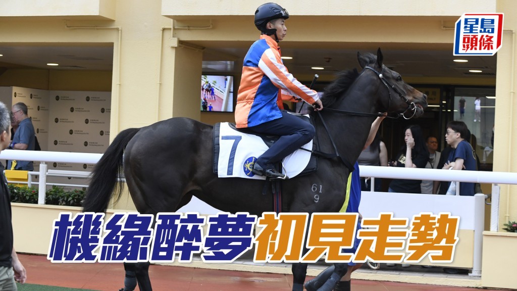 甜甜小記│ 「機緣醉夢」初見走勢