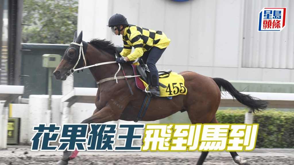 「花果猴王」今次換布文料有力補中。