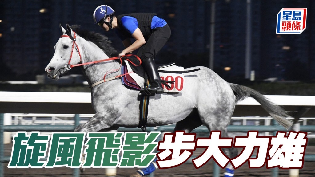 晨光追擊│「旋風飛影」步大力雄