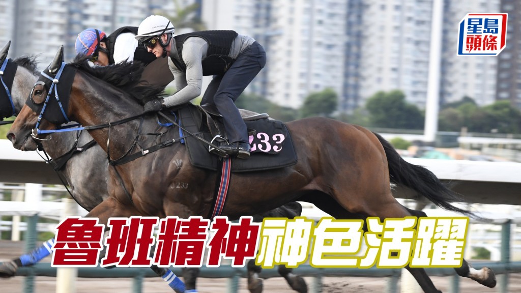 「魯班精神」步順力勁馬身實淨，近況相當不俗。