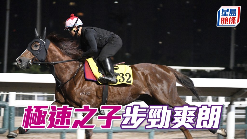 「极速之子」以轻松姿态完成，神态极佳状态出色。