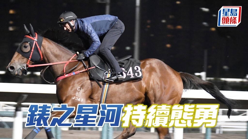  「錶之星河」神態自若雙耳烱烱，身靚力度充足。