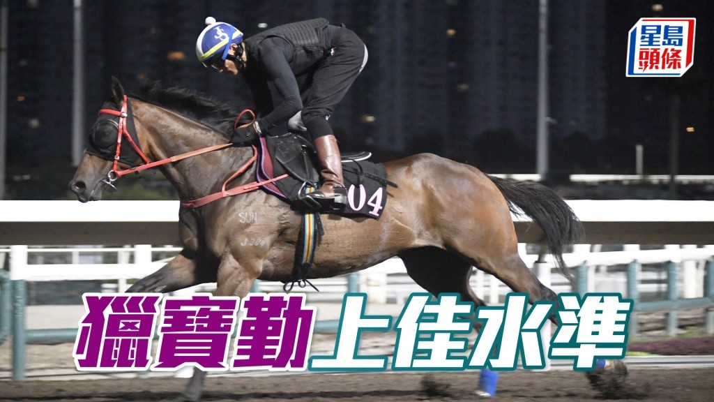 「獵寶勤」出腳輕巧有彈力，身粗壯毛色立立令。