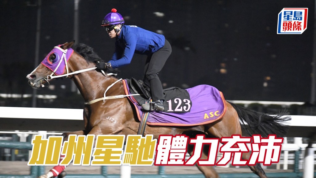 「加州星馳」落腳整齊又硬淨，持續態勇。