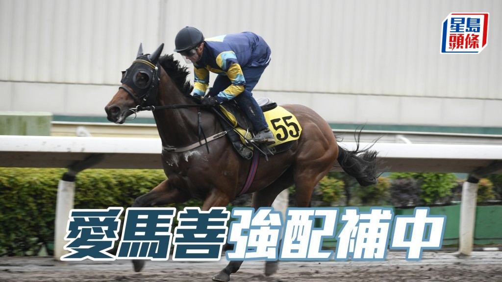 B女心水│「愛馬善」強配補中