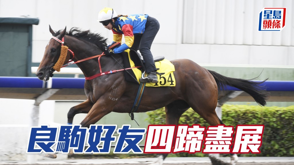 「良駒好友」神態活躍火力又好，弗到不得了。