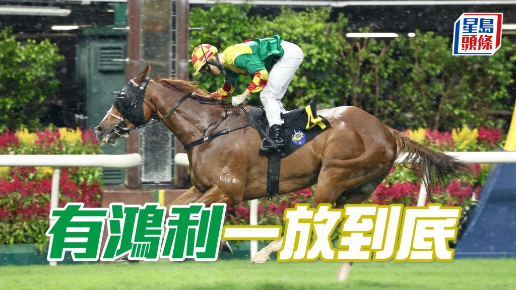 「有鴻利」一放到底