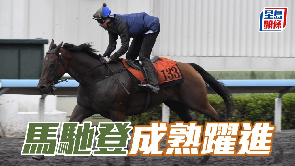「馬馳登」戴頭罩由潘頓跳一段，唔算拍跳，廄侶「駿皇逸」去到終點前才上來，前駒居然唔急唔搶，成熟躍進。「