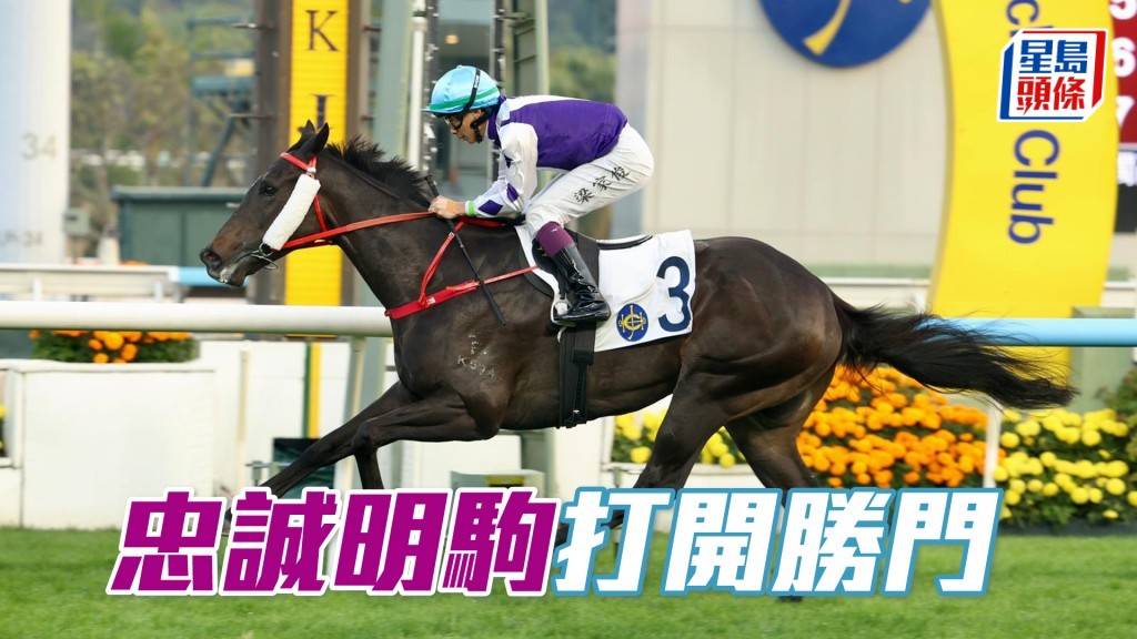 「忠诚明驹」打开胜门