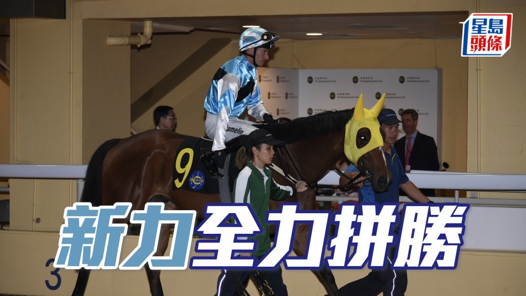 「新力」周三晚將出戰第五場四班千二米。